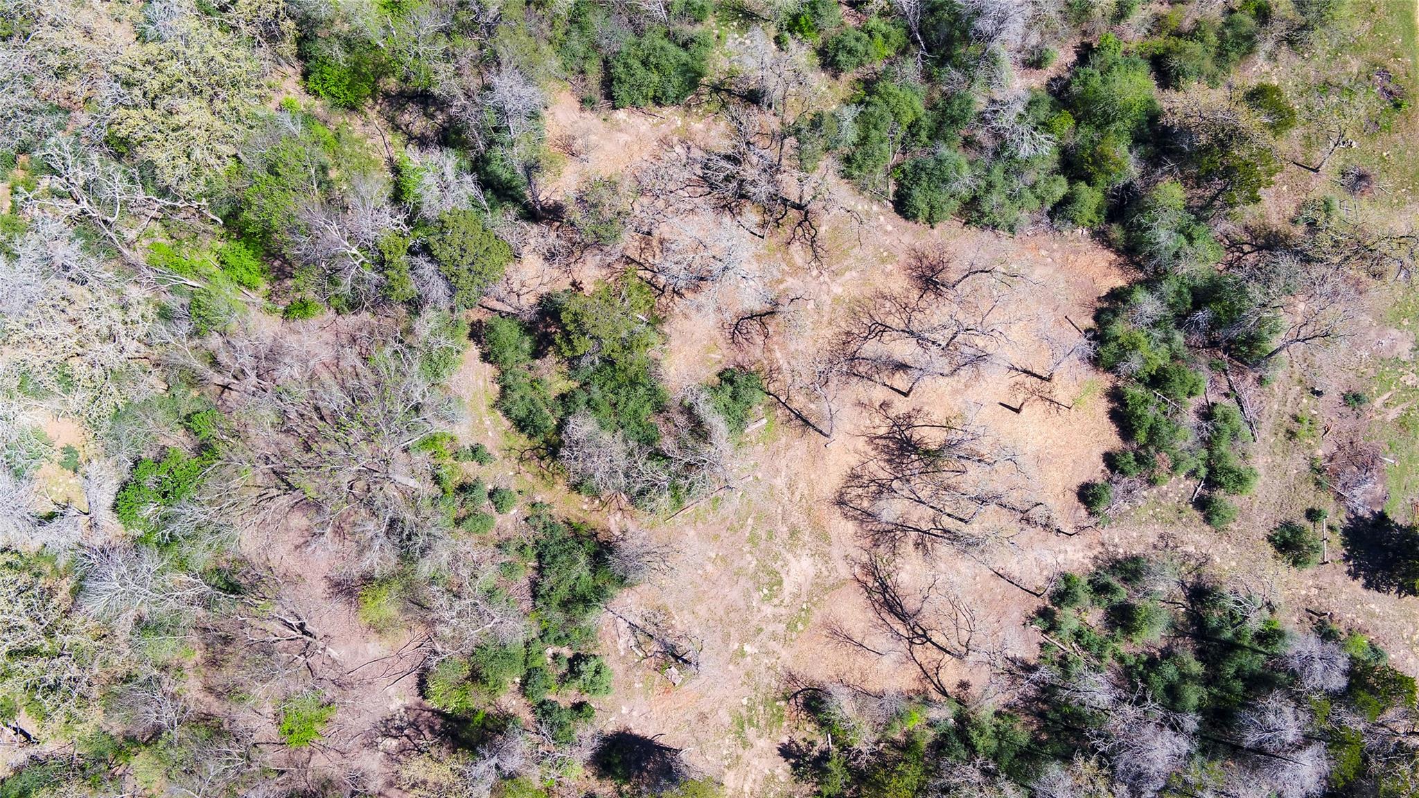 1201 County Road 323