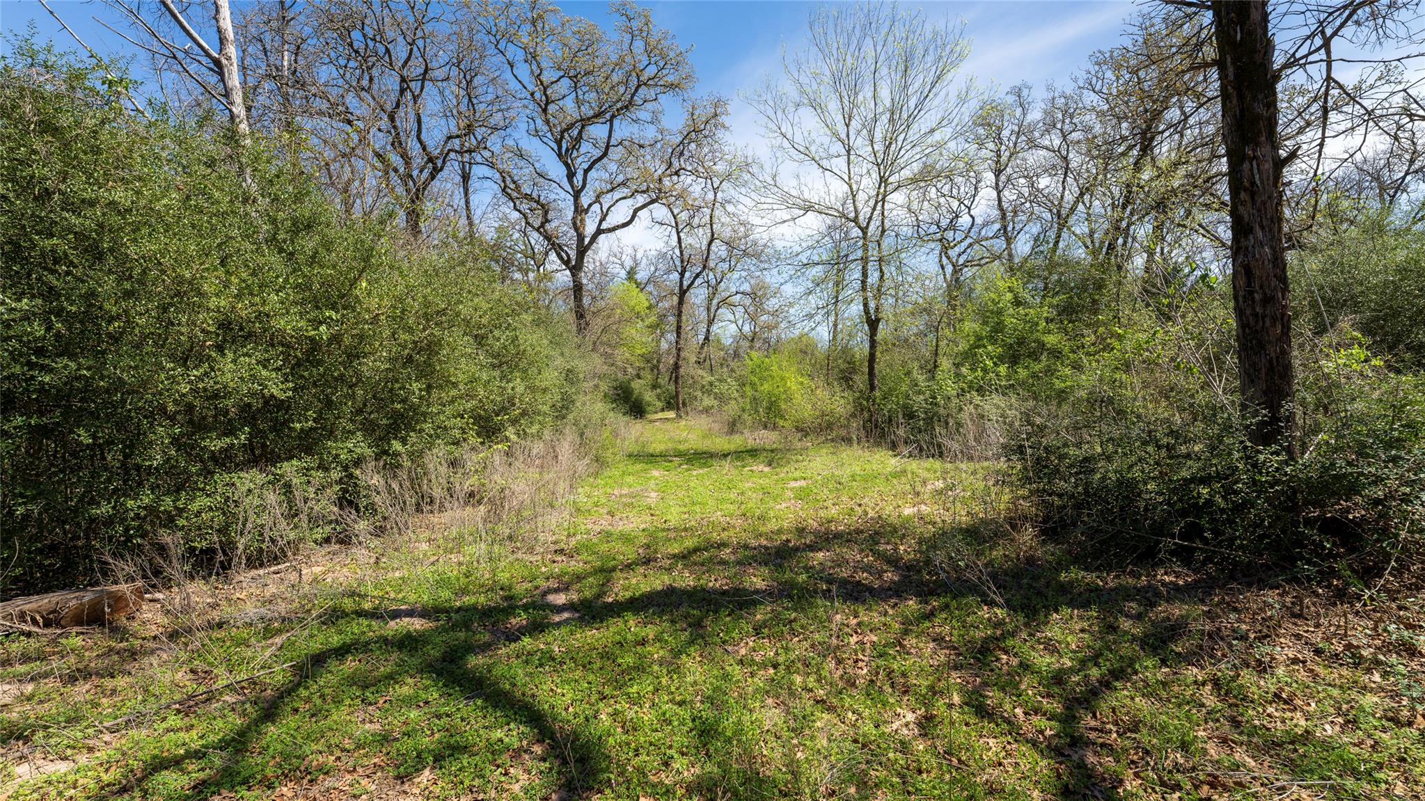 1201 County Road 323