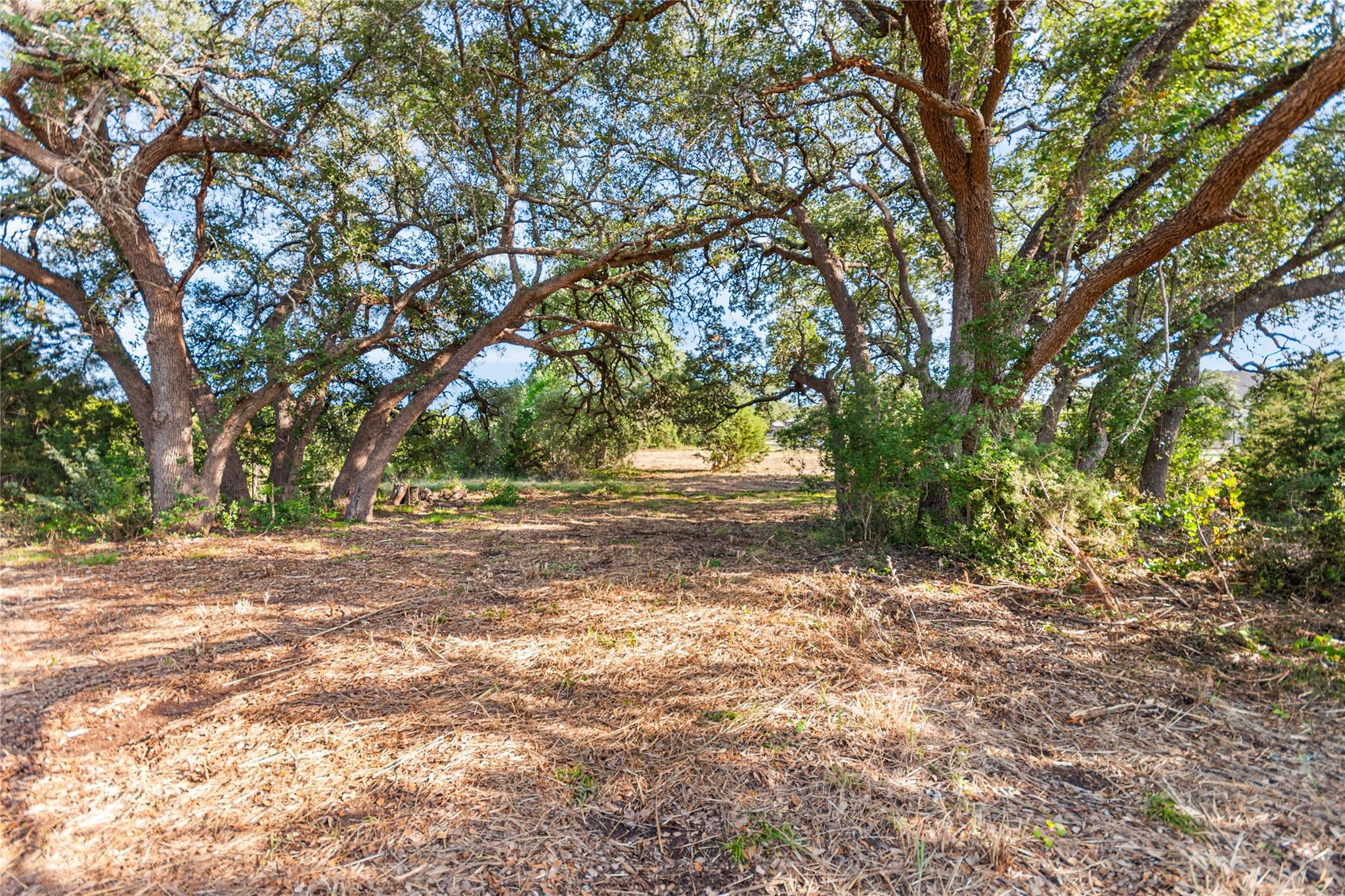 Lot 160 Brumley View CT