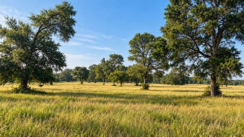 Photo of 3222 Highway 21 E, Paige, TX 78659 (MLS # 4883938)