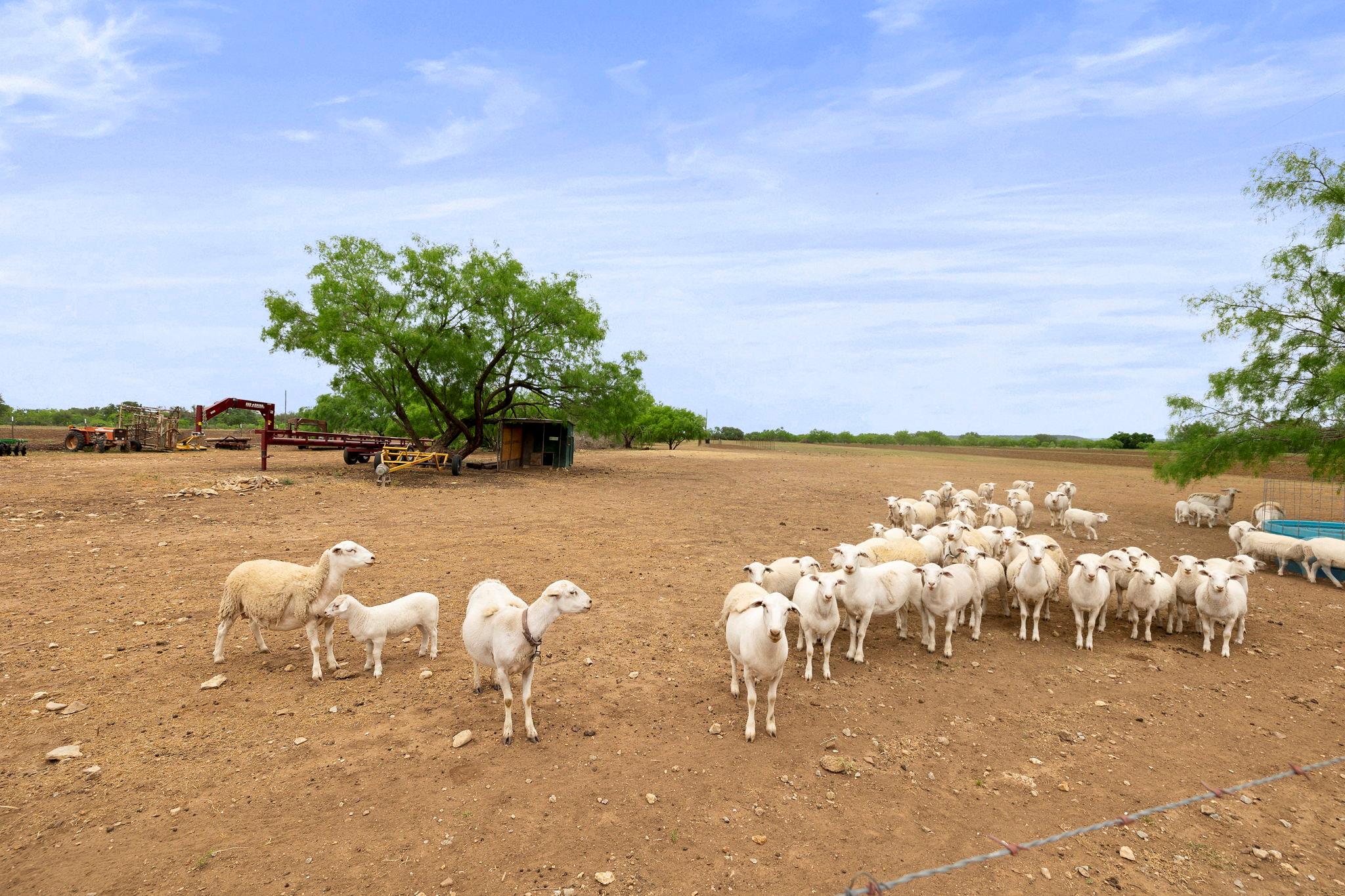 10700 County Road 202