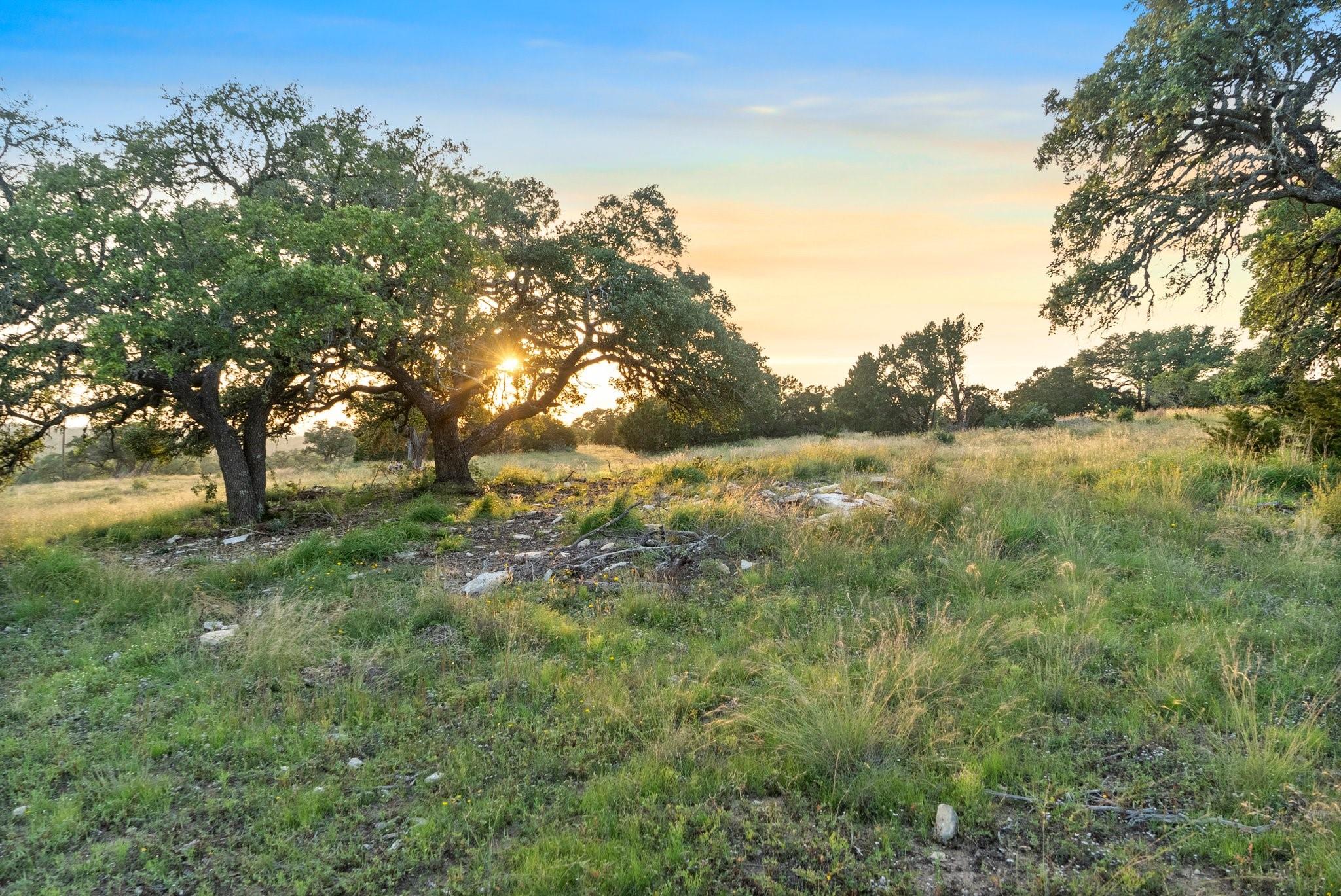 262 Cuesta PASS