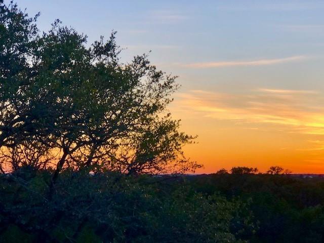 Spring Branch, Texas 78070, United States, ,Land,Active,63883