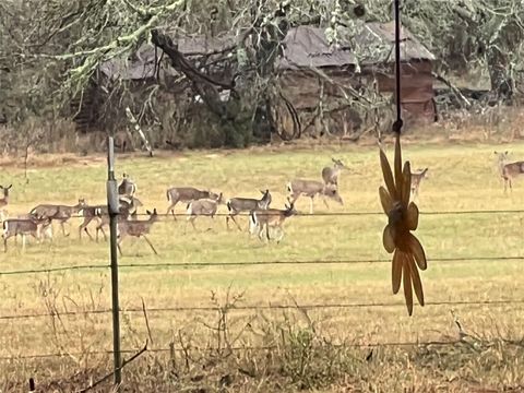 Photo of 1384 County Road 326, Adkins, TX 78101 (MLS # 2590796)