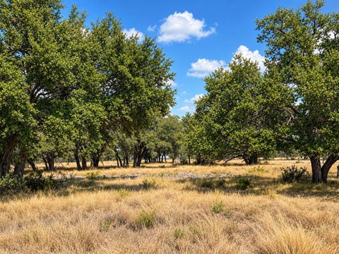 Photo of LOT 123 Fallow Drive DR, Harper, TX 78631 (MLS # 6613287)