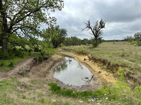  in Goldthwaite TX TBD11 County Road 250.jpg