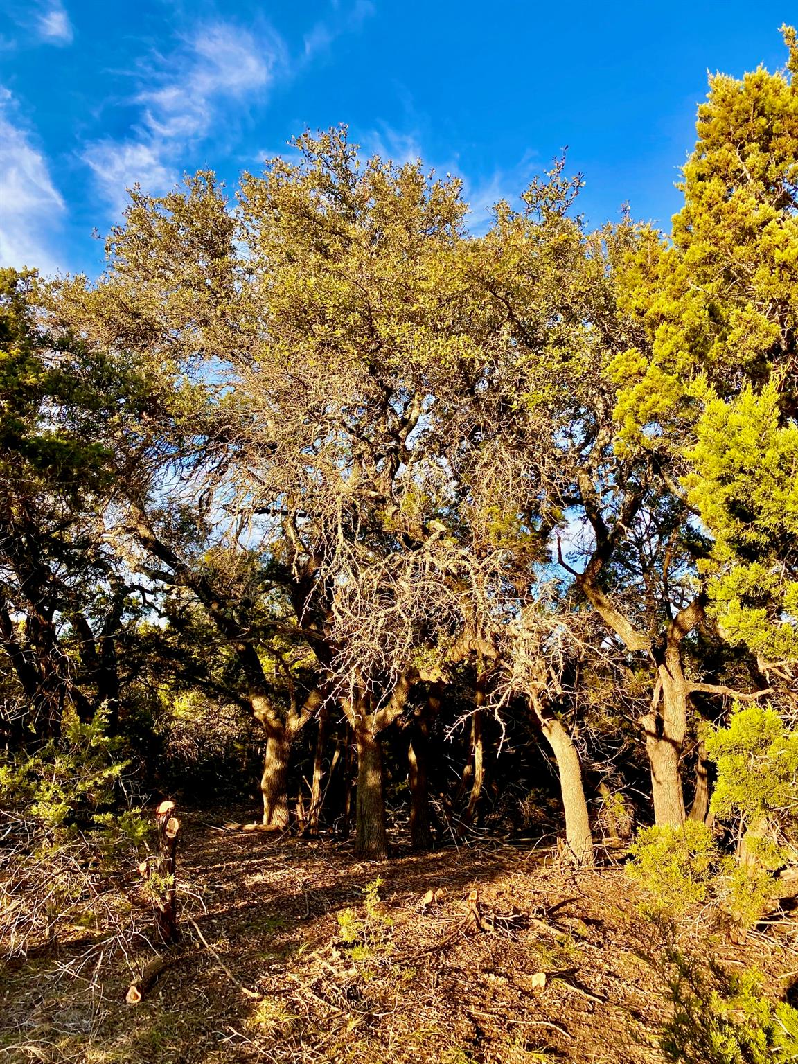 Lot 94 E. Dripping View CT