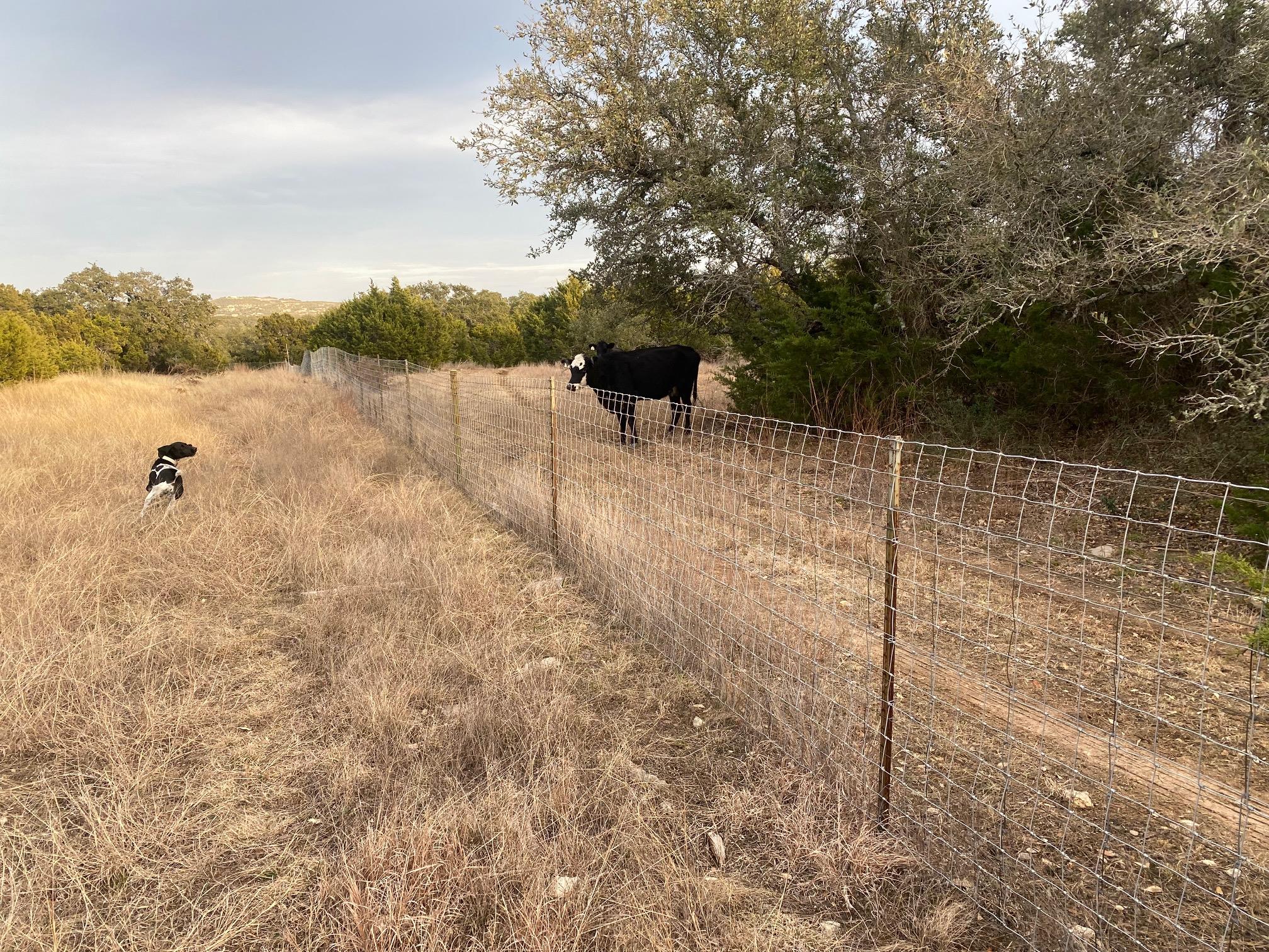 Lot 94 E. Dripping View CT