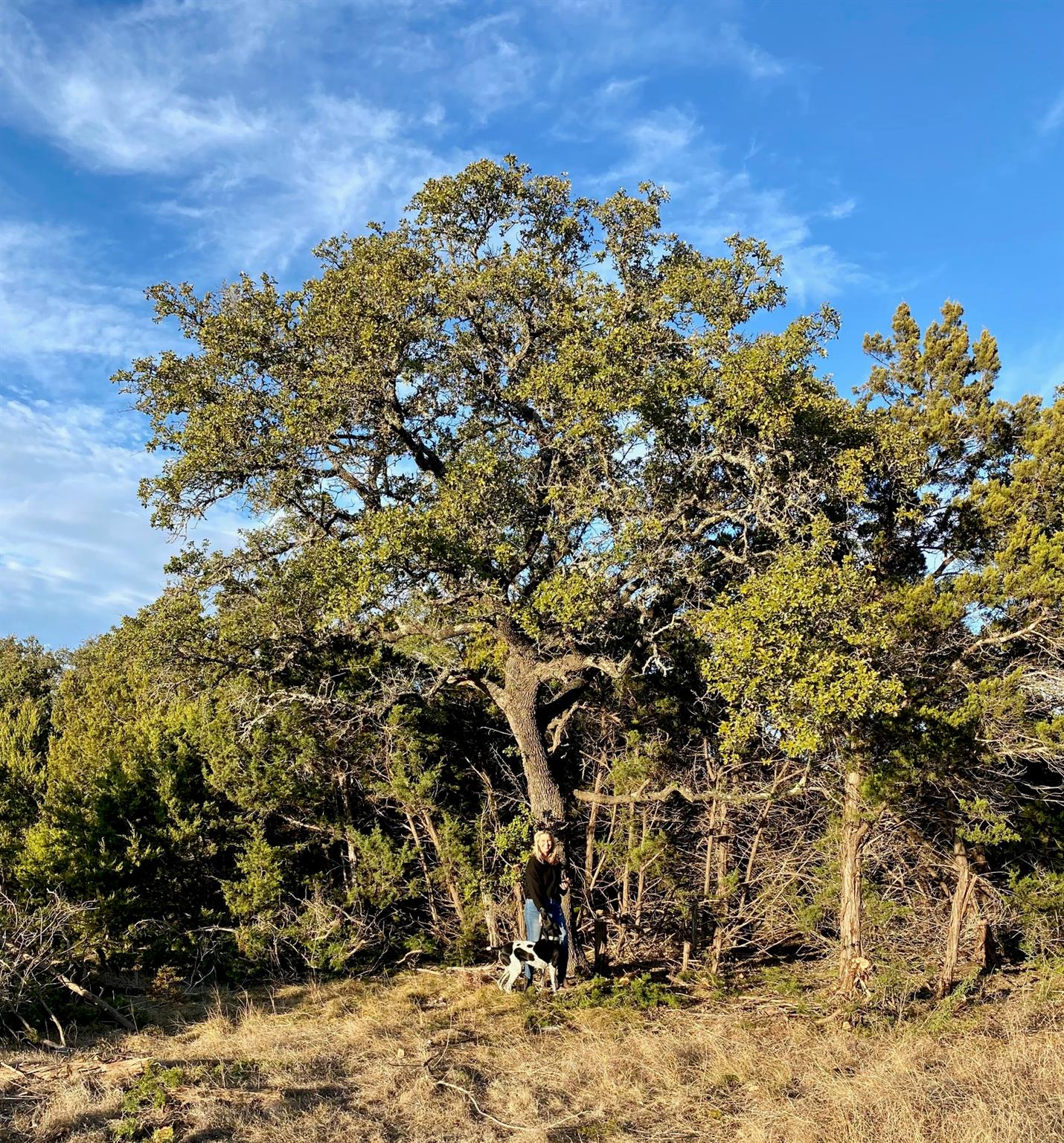 Lot 94 E. Dripping View CT