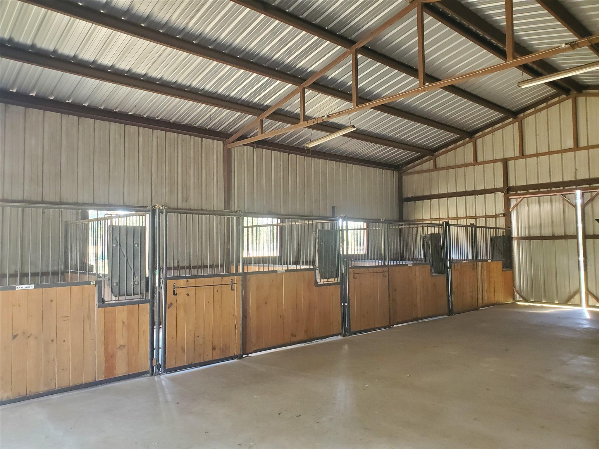 4319 County Road 455