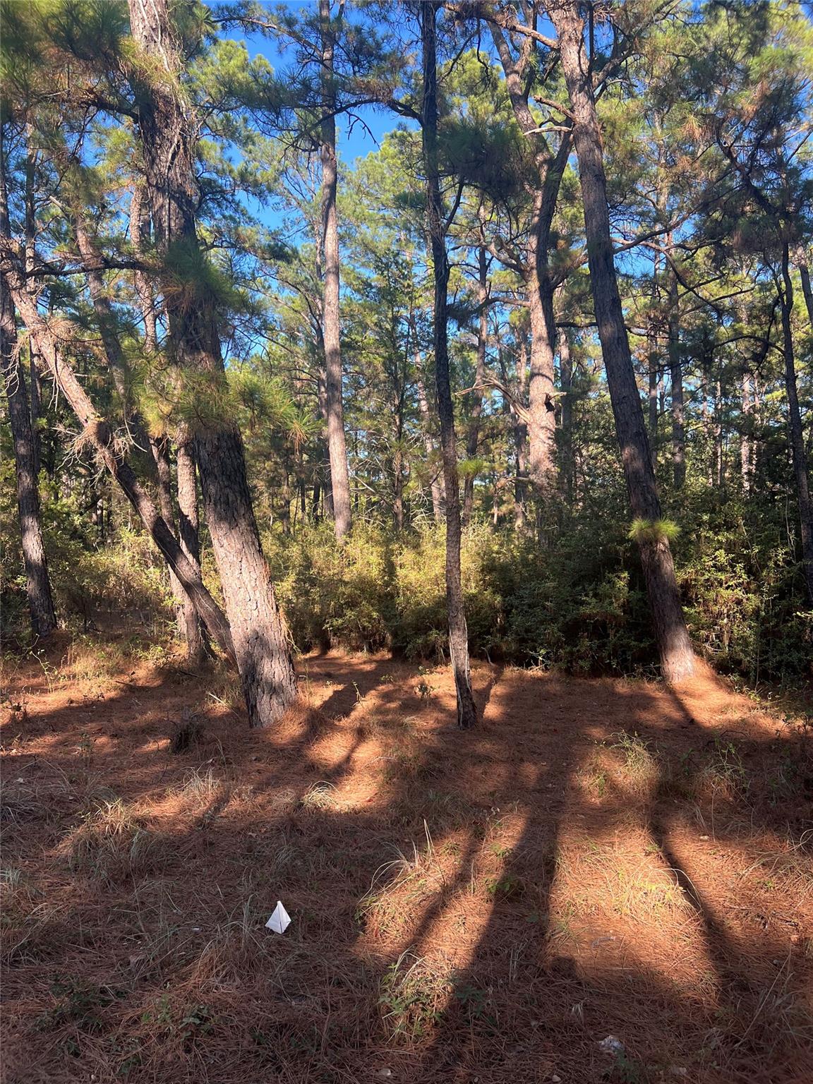 Lot 43 Pine Lodge DR