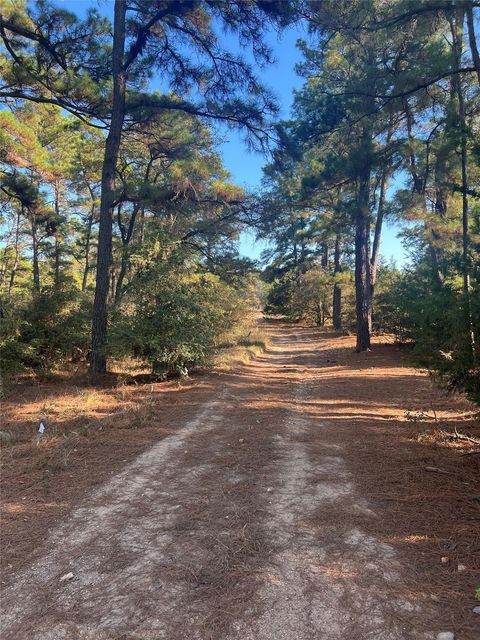 Photo of Lot 43 Pine Lodge DR, Bastrop, TX 78602 (MLS # 4987782)