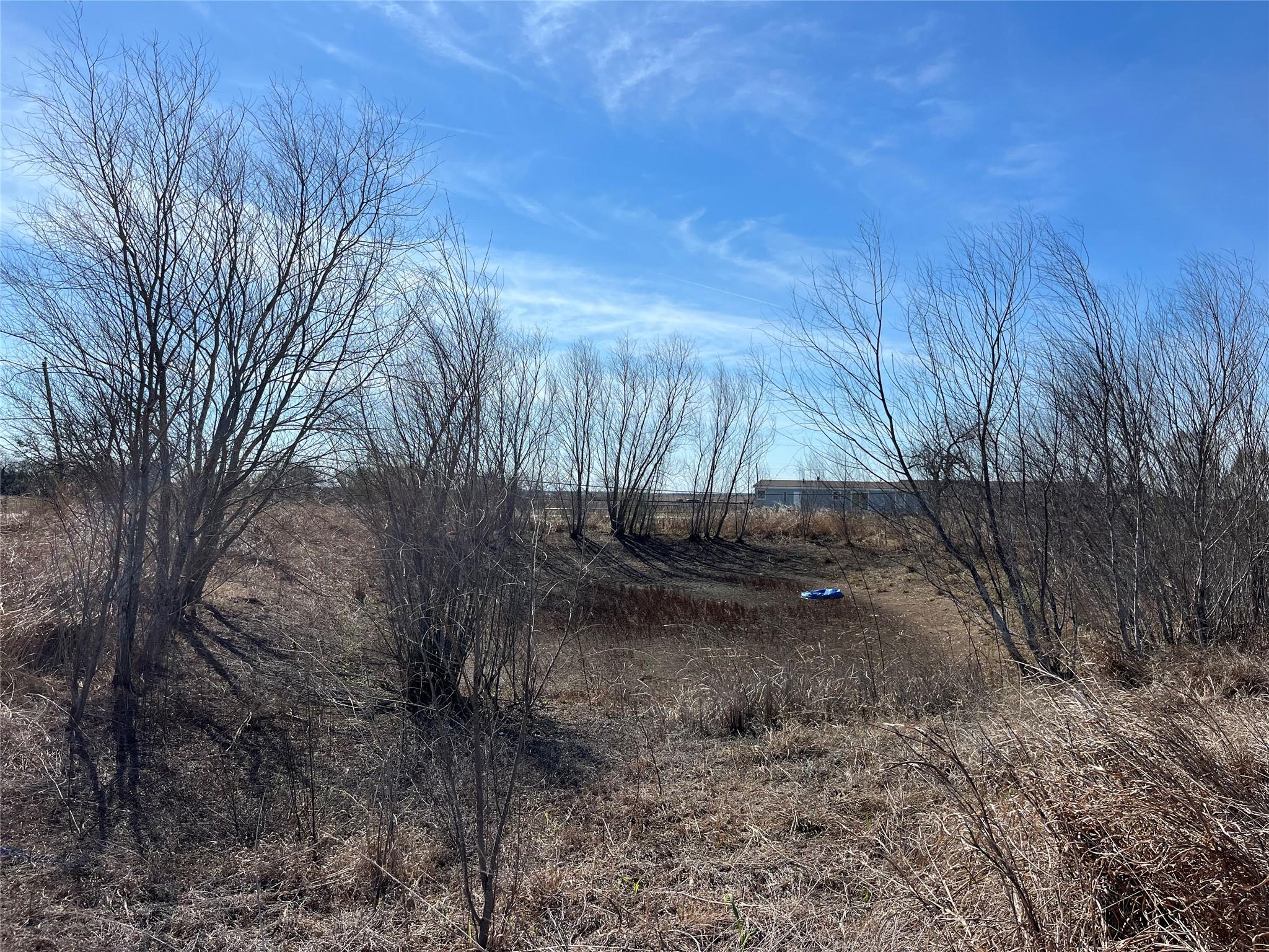 TBD Roemer RD