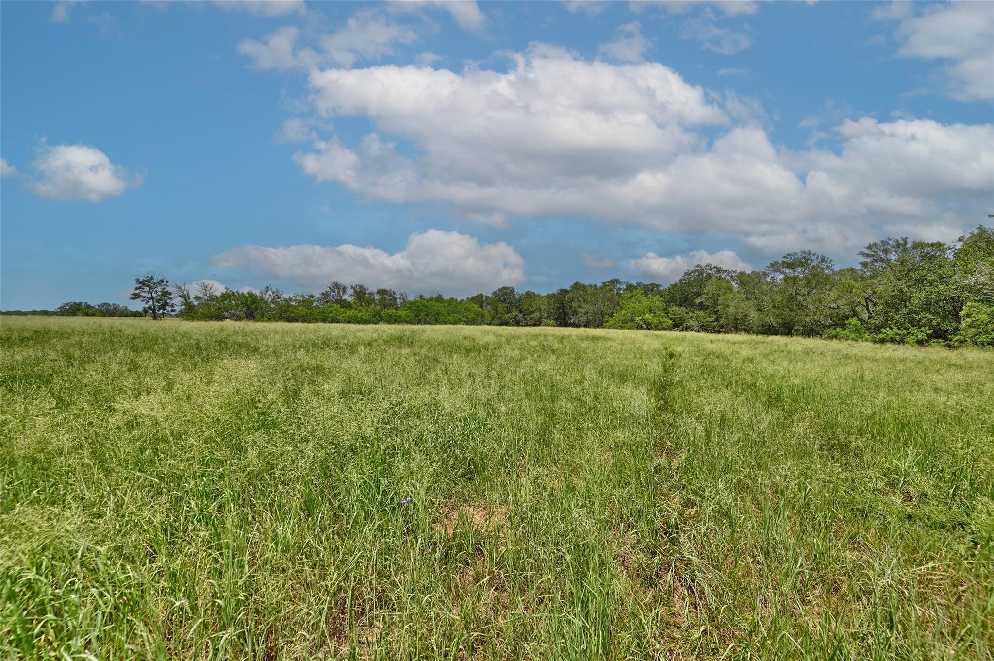Photo 1 of 19 — 166 Sunny Day Dr, Red Rock, TX 78662