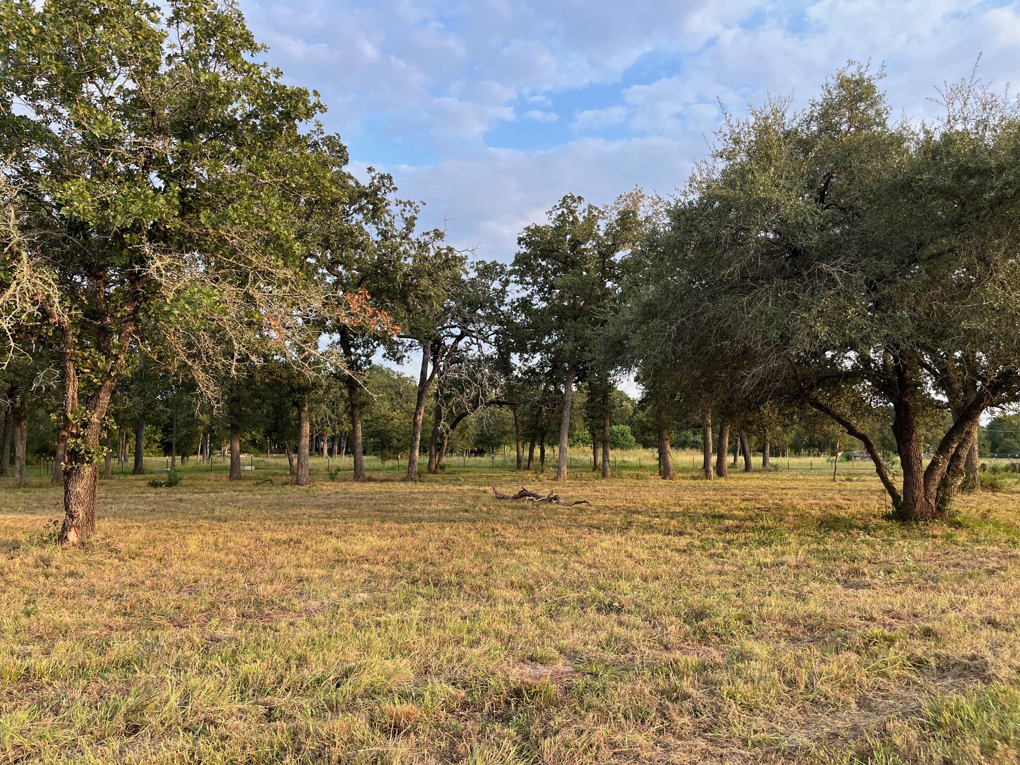 TBD County Road 427