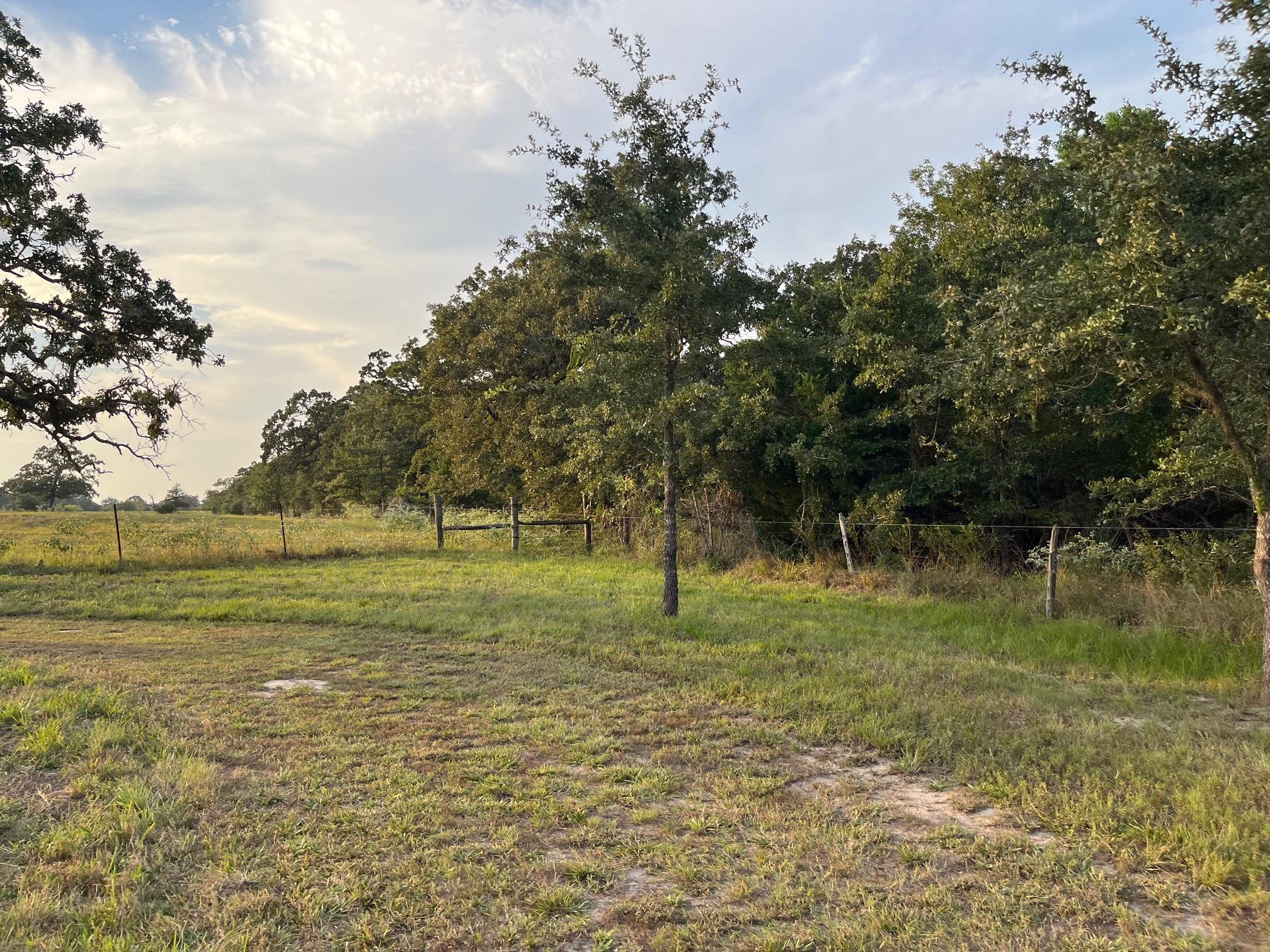 TBD County Road 427