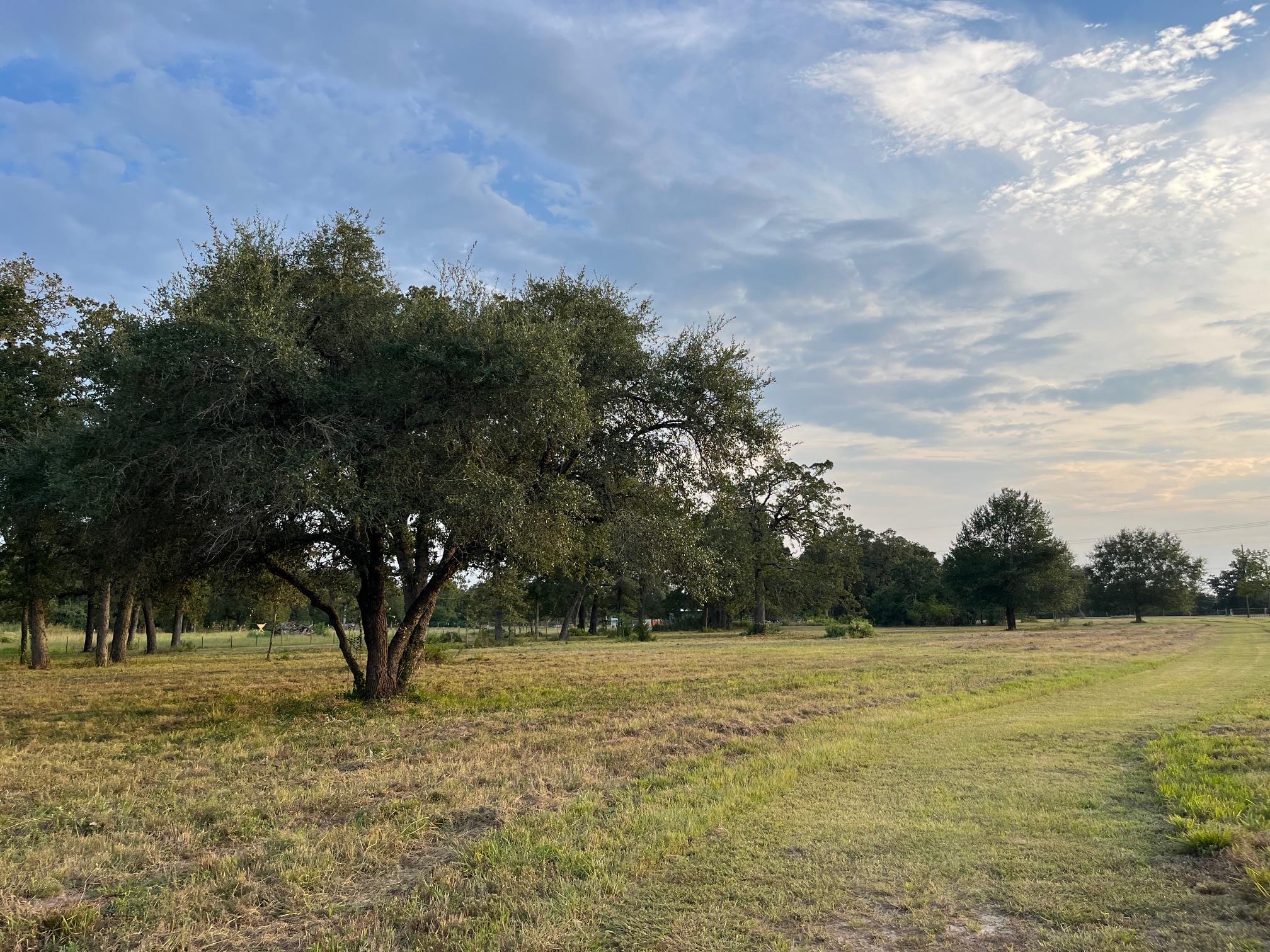 TBD County Road 427