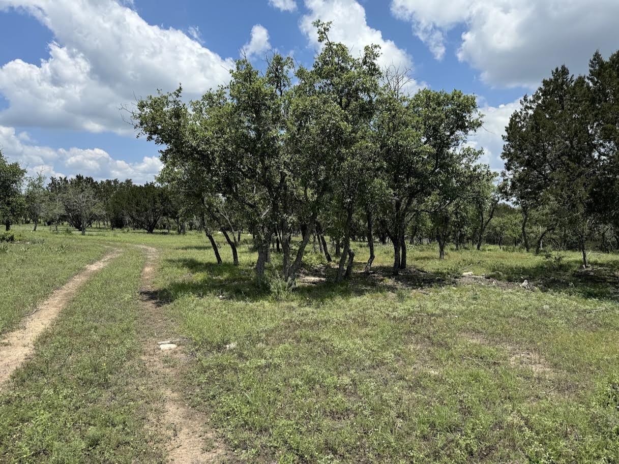 Tract 28 Miller Creek