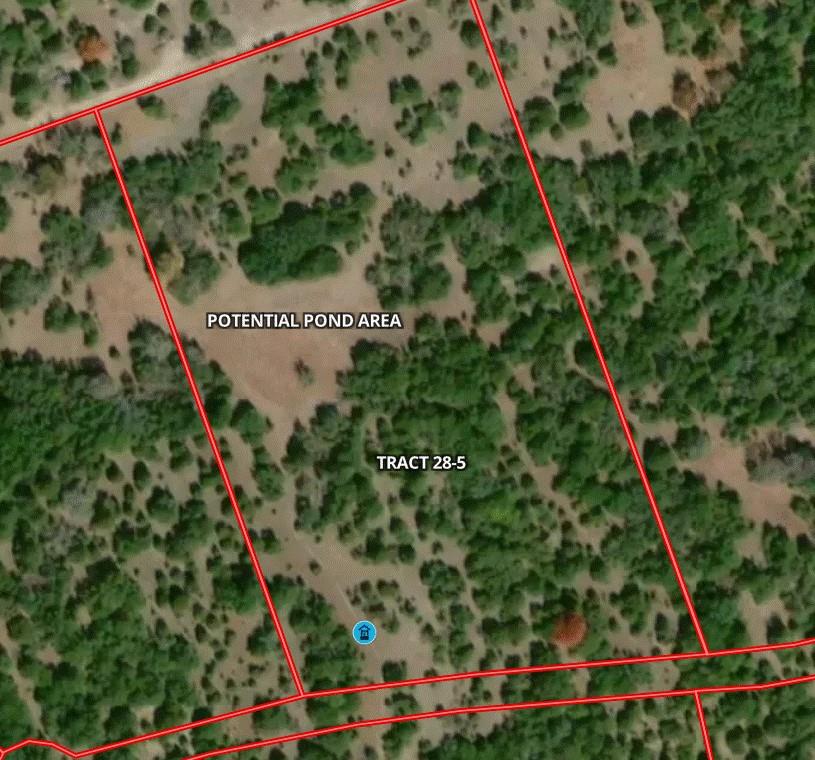 Tract 28 Miller Creek