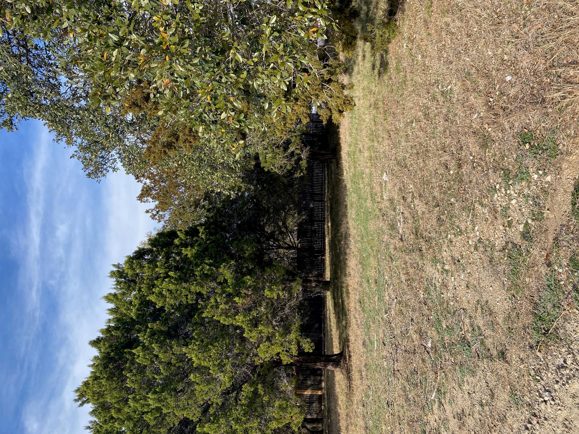 W18072 Spider Valley