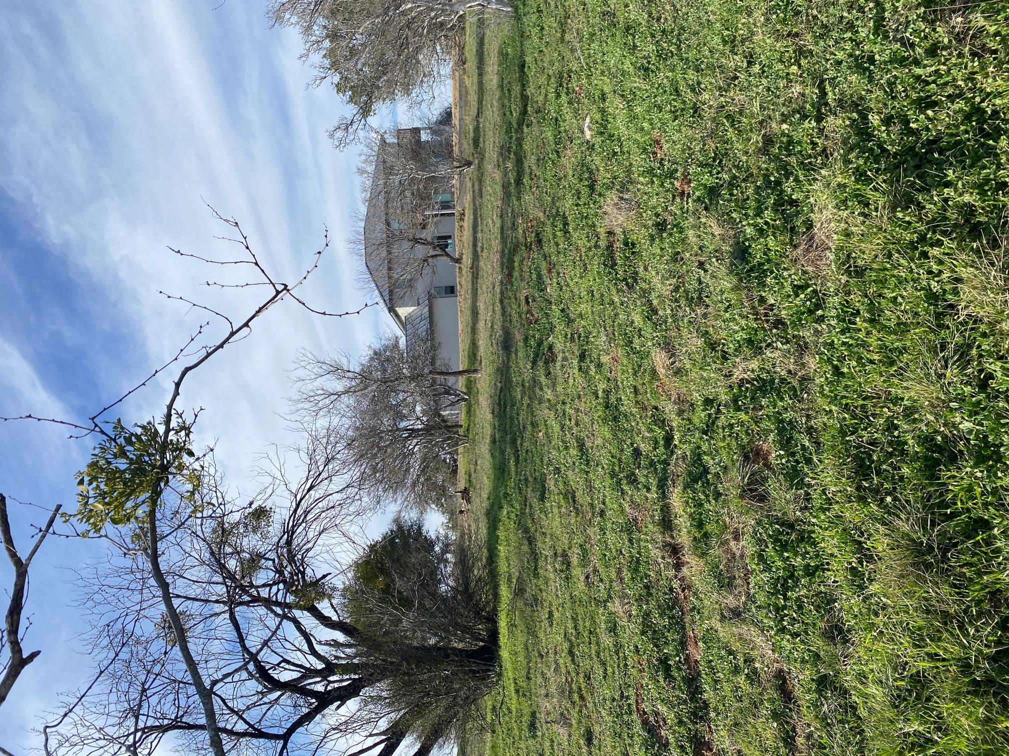 W18072 Spider Valley