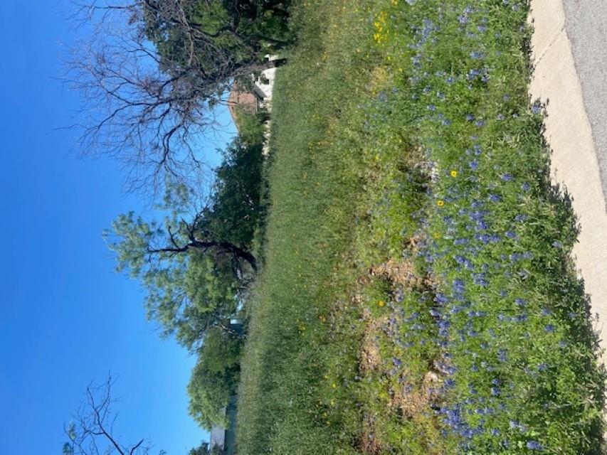 W18072 Spider Valley