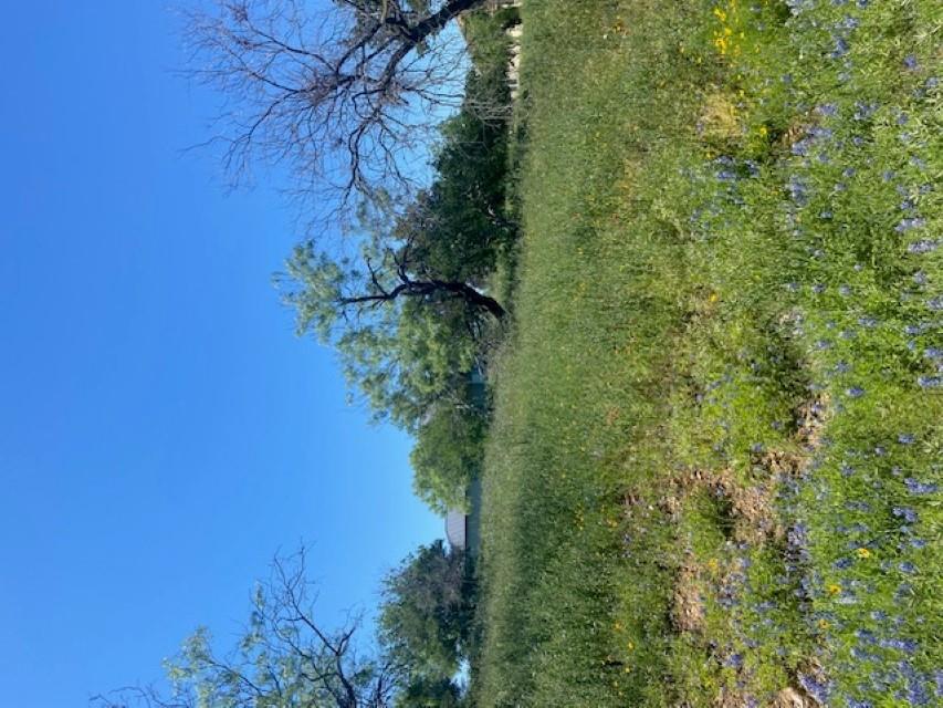 W18072 Spider Valley