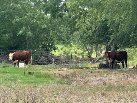 Tiny photo for 5807 Cele RD, Pflugerville, TX 78660 (MLS # 8265569)