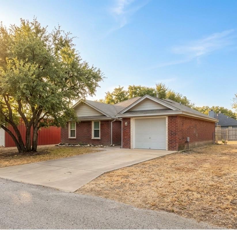 32 Golden Poppy LOOP