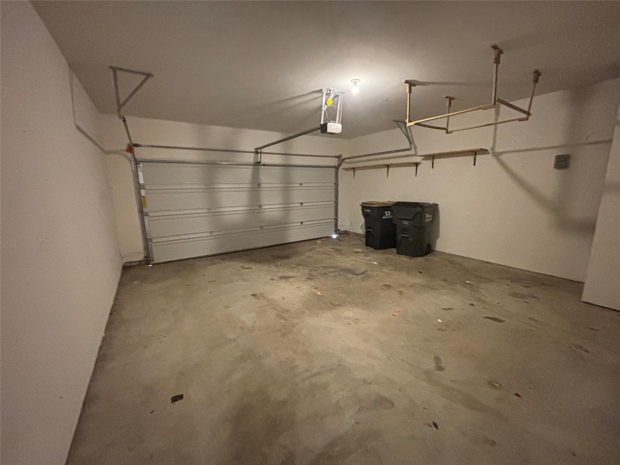 1163 Treeta TRL