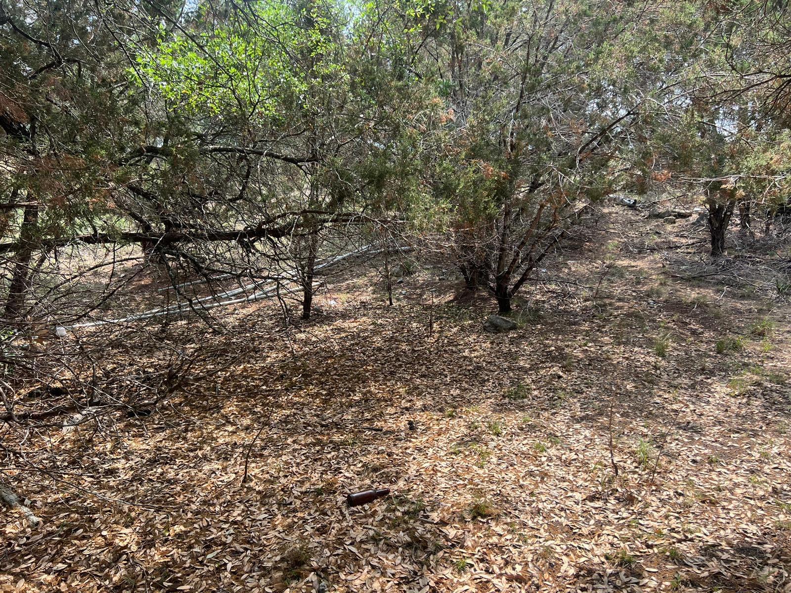 19906 CONSTITUTION CV