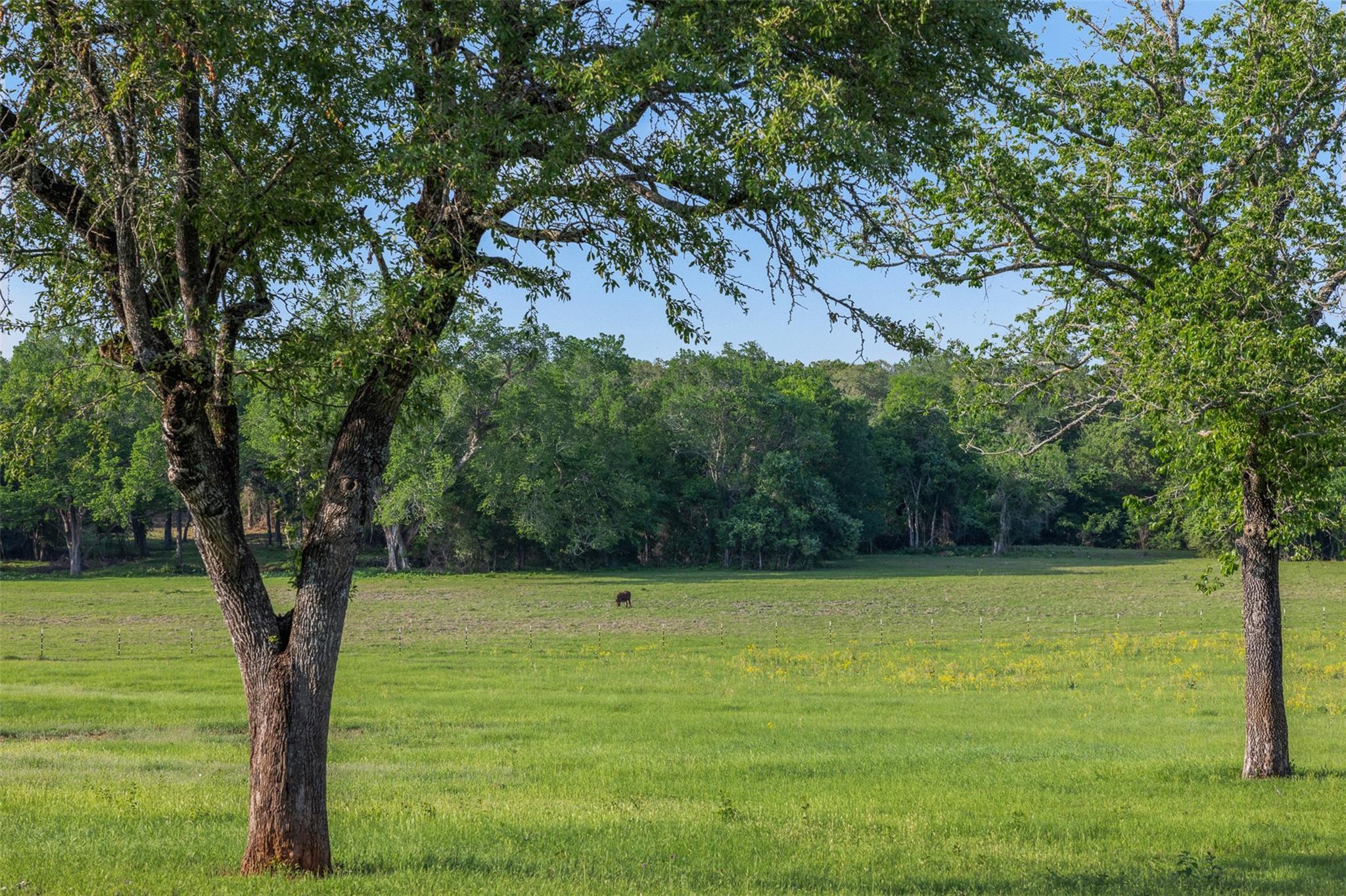 3004 County Road 310