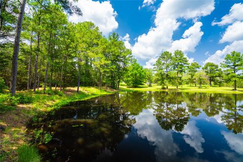 Photo of 677 Old Antioch RD, Smithville, TX 78957 (MLS # 8388874)