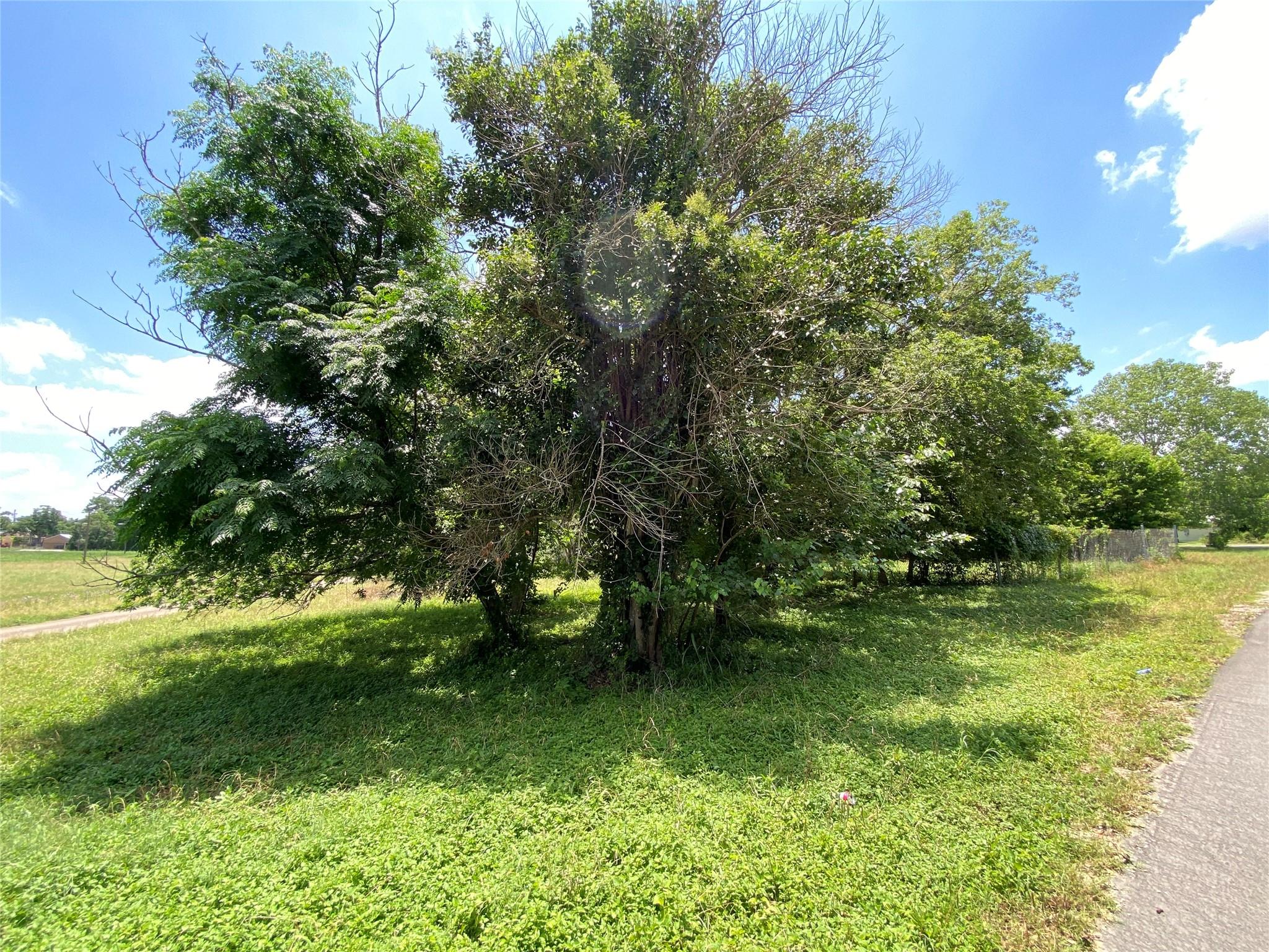 View Kyle, TX 78640 property