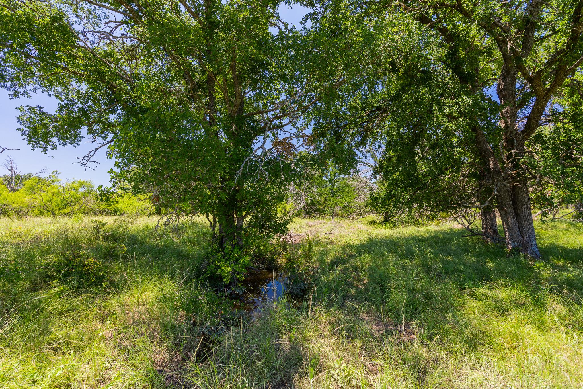 TBD County Road 180 72 ac RD