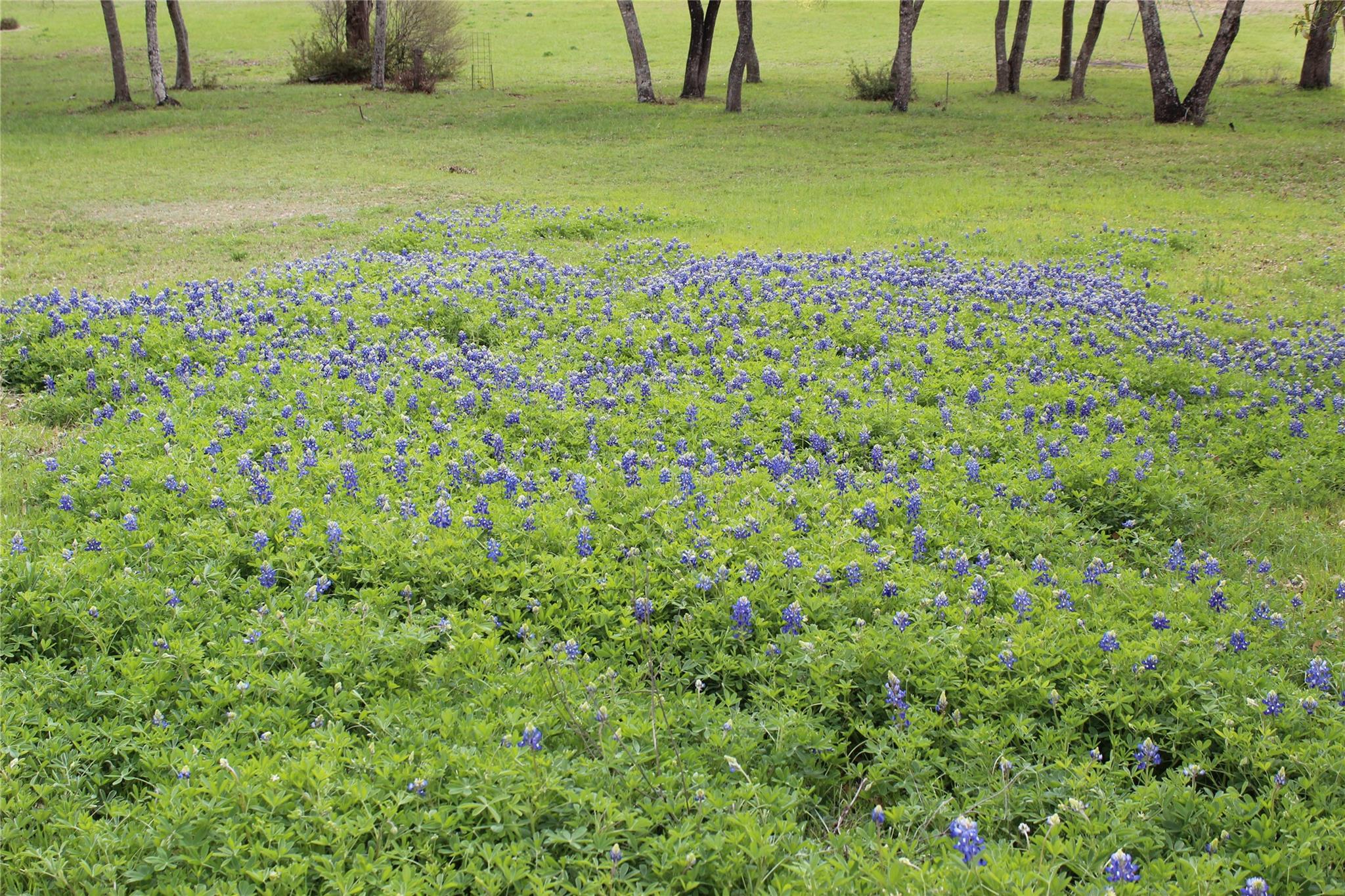 19115 Old F M Road 1431