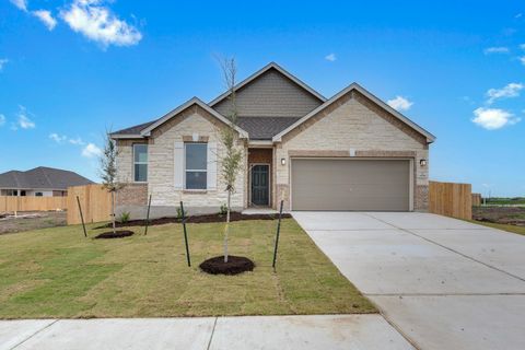 Photo of 15009 Kiger Mustang DR, Manor, TX 78653 (MLS # 3371787)