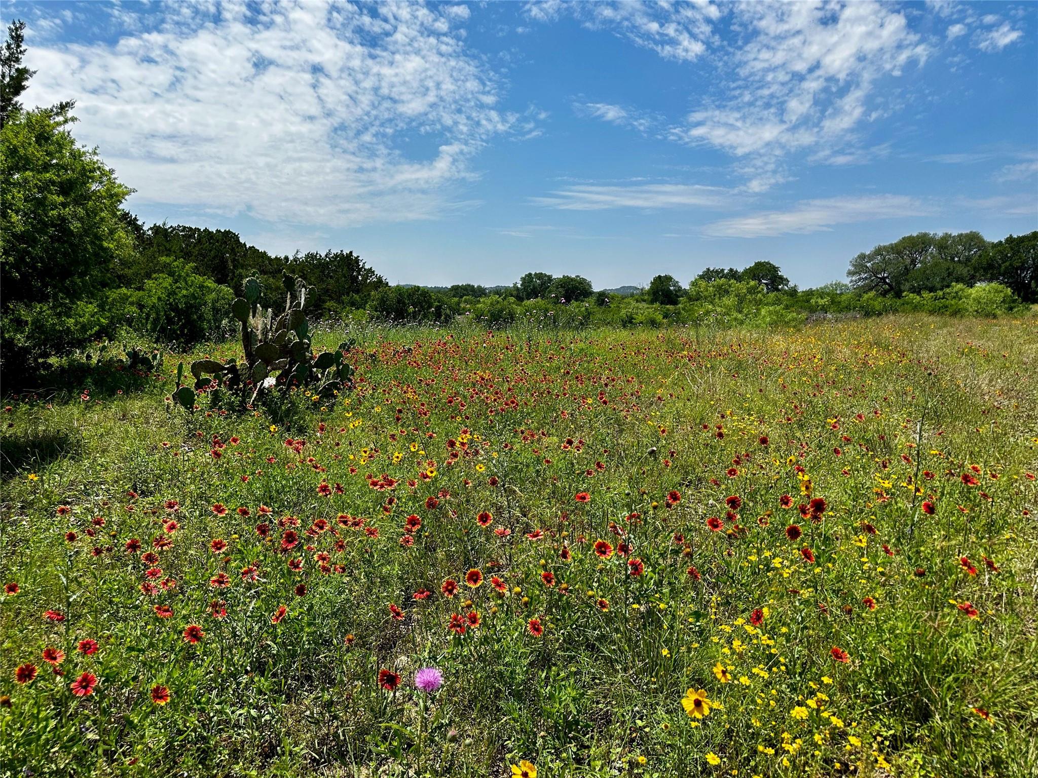 Lot 4 Colorado Canyon DR