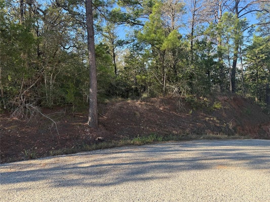 LOT 1252 TBA HANAUMA DR, BASTROP, TX 78602 - Image ca83bfc8a26eadc7e9aaec489689e1bb/232916554