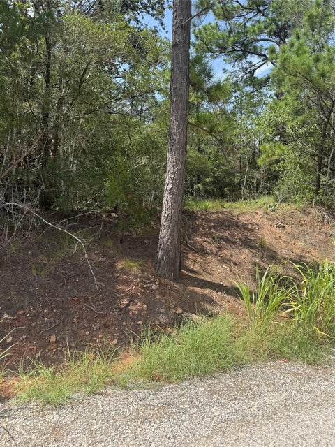 Photo of Lot 1252 TBA Hanauma DR, Bastrop, TX 78602 (MLS # 2039588)