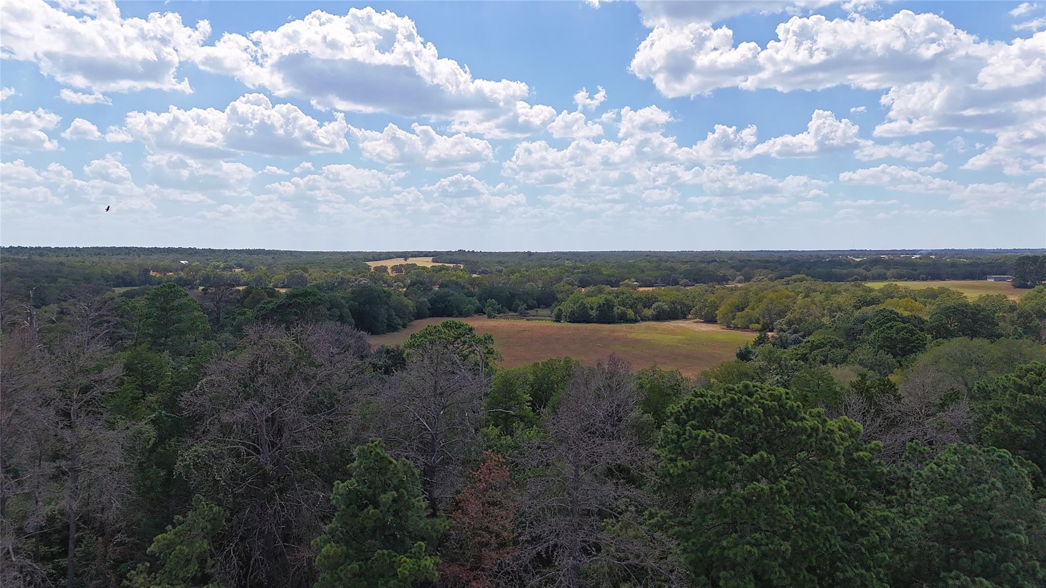 TBD St Delight Rd (Tracts 8 & 13)