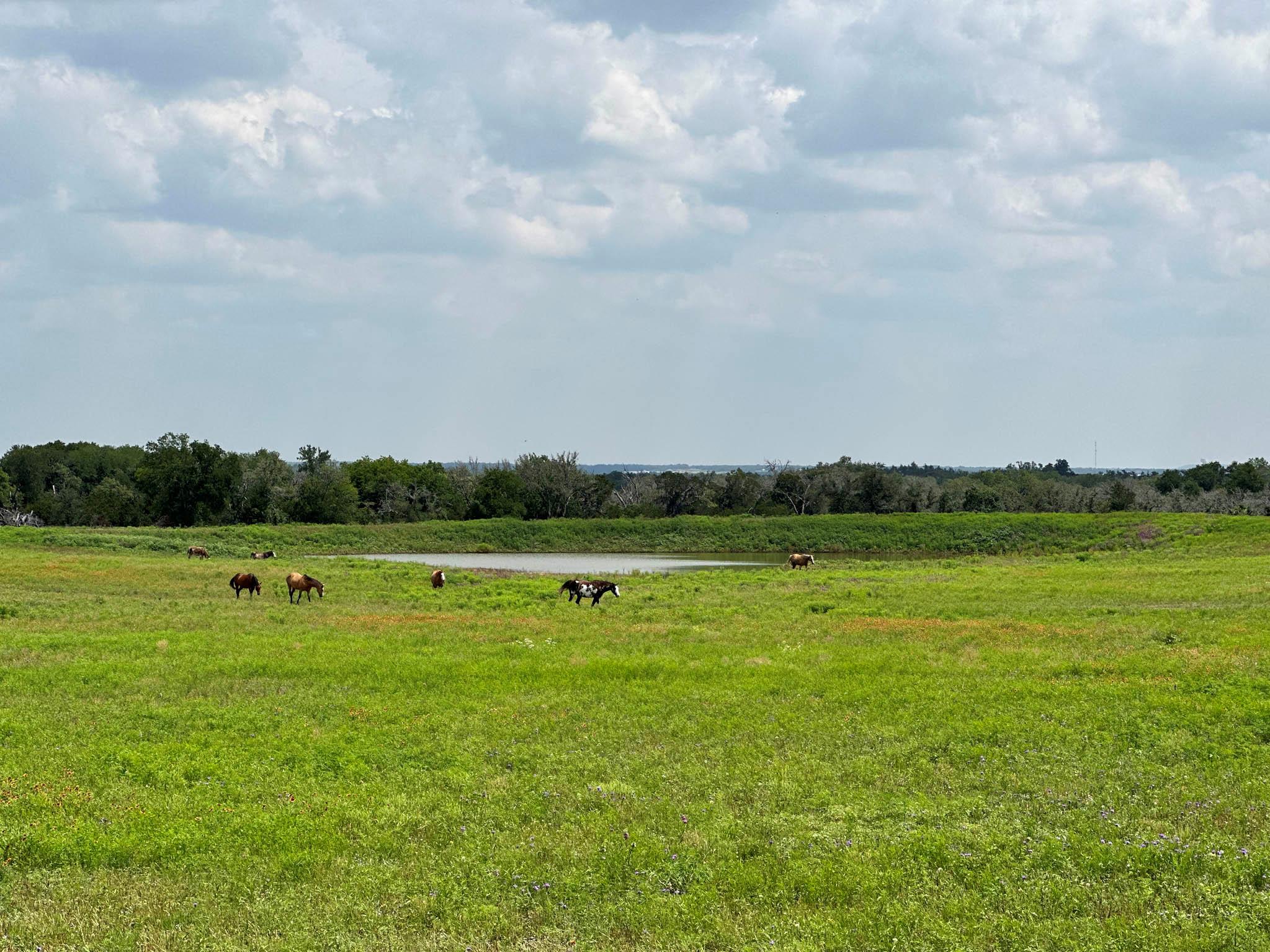 2055 County Road 284 Parcel B