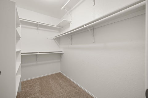 Tiny photo for 17413 Tobermory DR, Pflugerville, TX 78660 (MLS # 7575756)