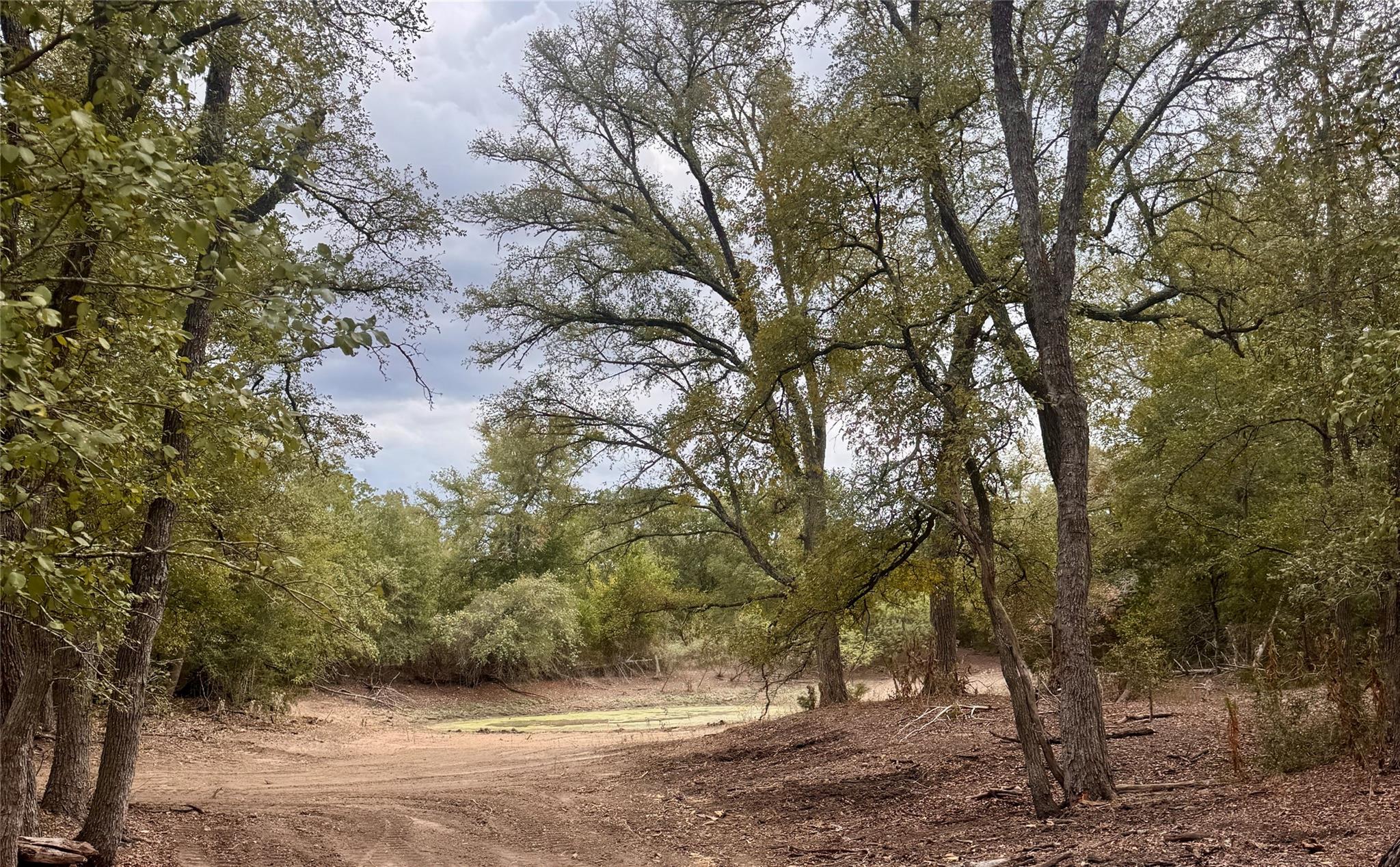 12 Acres Mt. Pleasant