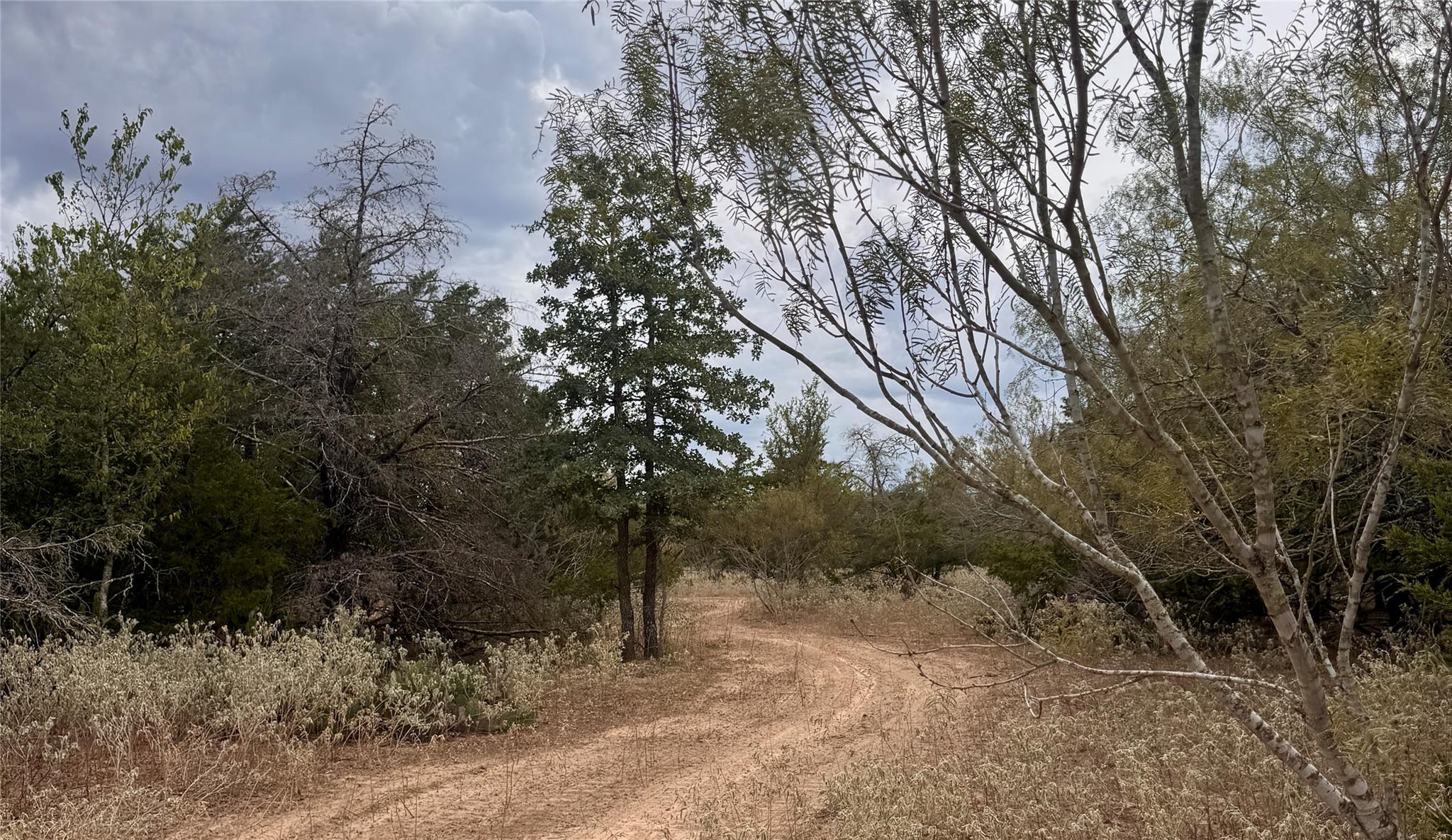 12 Acres Mt. Pleasant