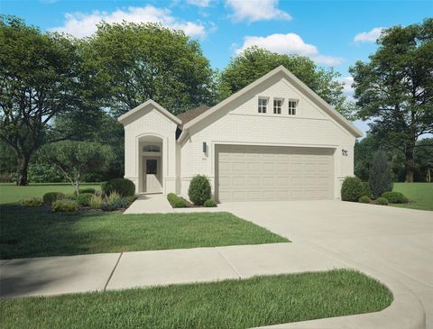 294 Bendecido LOOP Elgin TX 78621