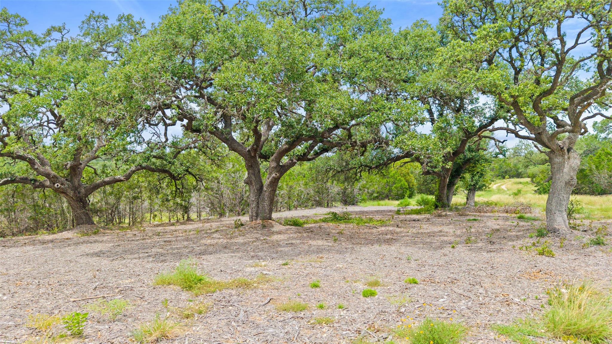 000 Oak Valley Ranch