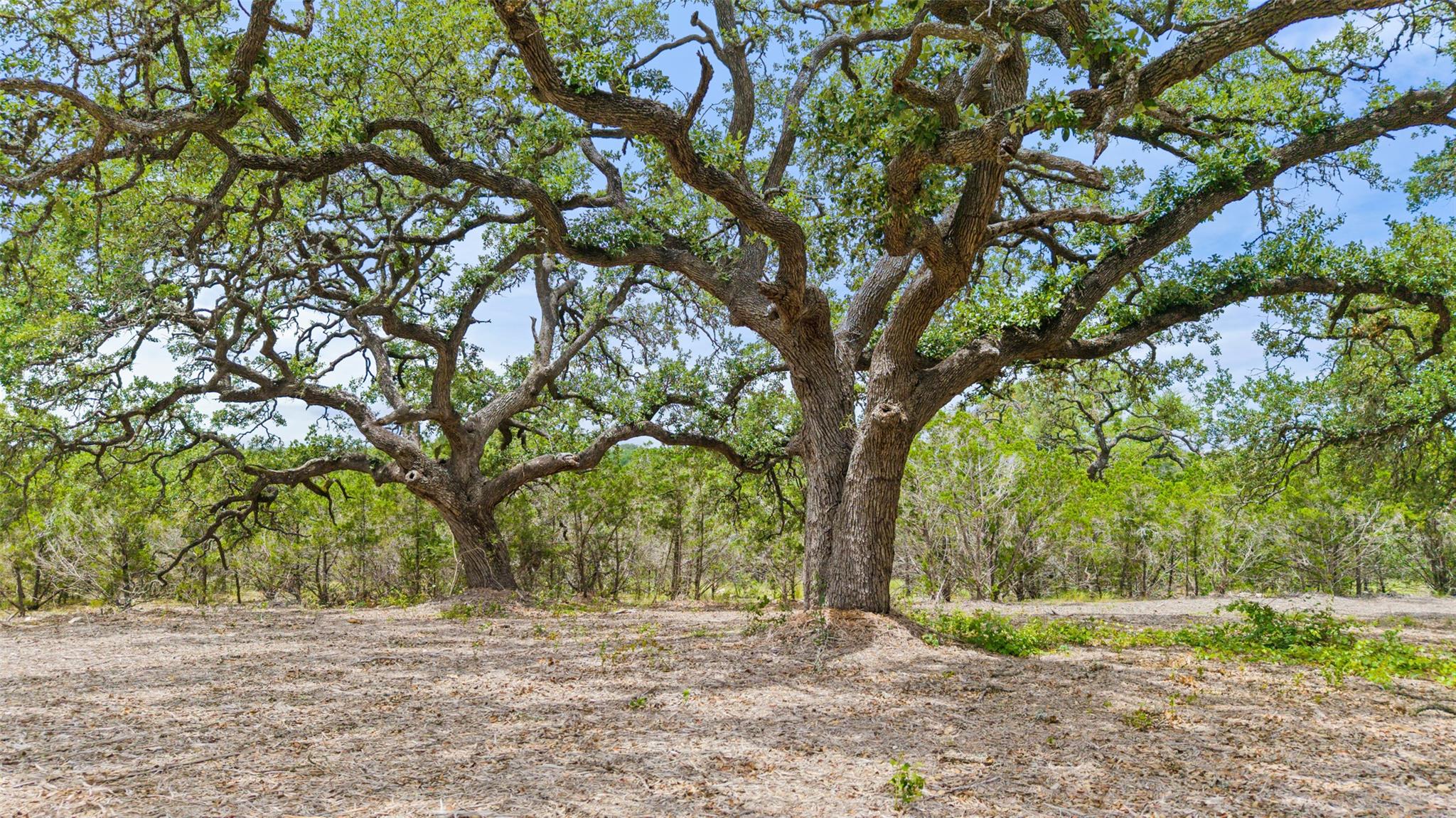 000 Oak Valley Ranch