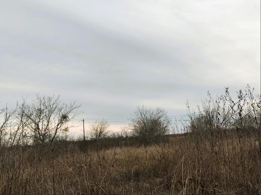 TBD (lot 6) Arnold DR