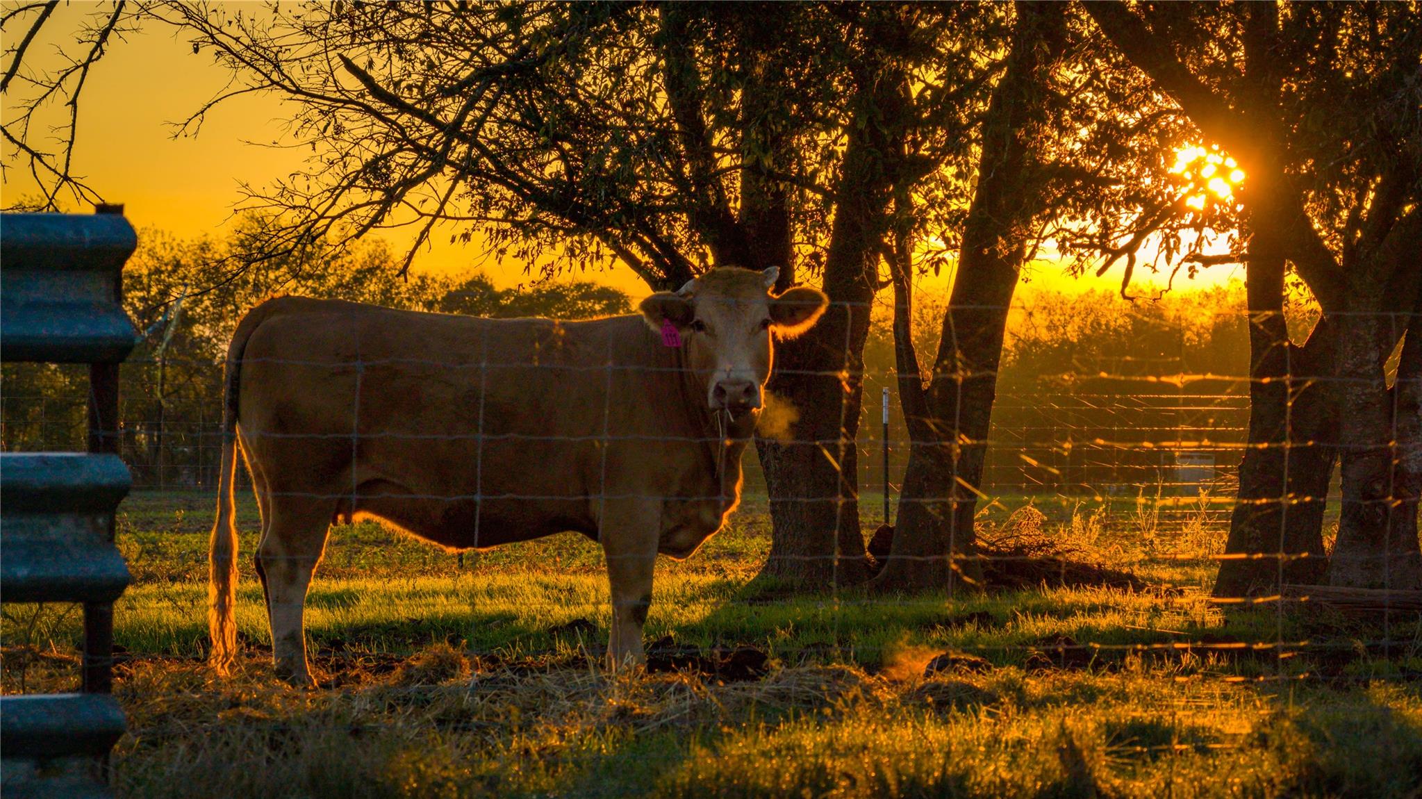 8323 E State Highway 29